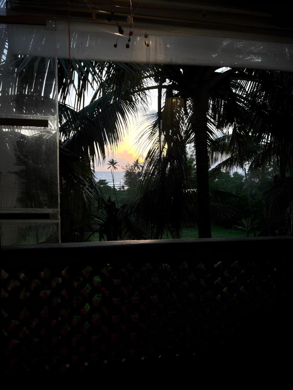 Tattvam On The Beach - Retreat And Spa Arambol Exteriér fotografie